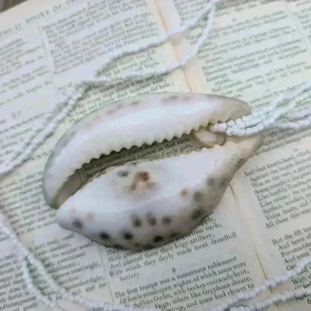Vintage tiger cowrie shell beaded necklace